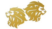 naklejki-lew-lewa-prawa-2-zlote.jpg
