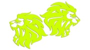 naklejki-lew-lewa-prawa-2-zolte-neon.jpg