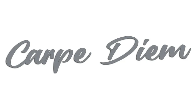 naklejka-carpe-diem-szara.jpg