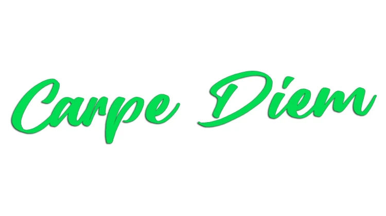 naklejka-carpe-diem-zielona-neon.jpg