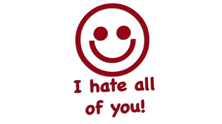naklejka-i-hate-all-of-you-bordowa.jpg