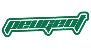 naklejka-peugeot-napis-obrys-2-zielona.jpg