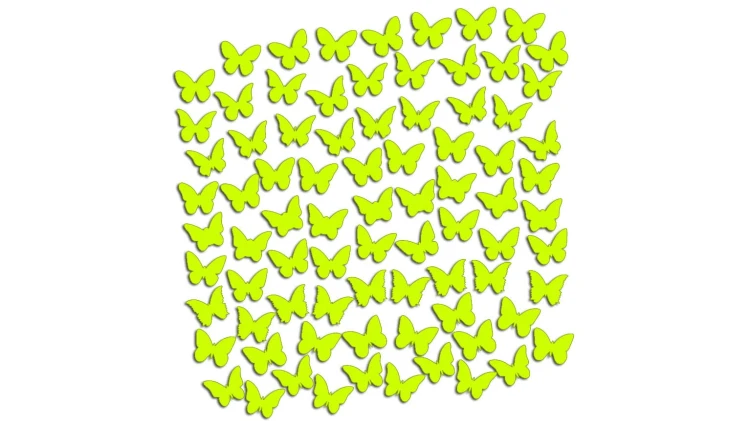naklejki-motyle-81-sztuk-zolte-neon.jpg