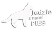naklejka-jedzie-z-nami-pies-biala.jpg