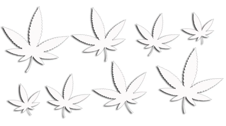 naklejki-marihuana-konopia-cannabis-ganja-8-sztuk-biale.jpg