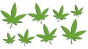 naklejki-marihuana-konopia-cannabis-ganja-8-sztuk-jasny-zielony.jpg