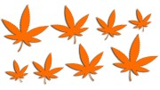 naklejki-marihuana-konopia-cannabis-ganja-8-sztuk-pomaranczowe.jpg
