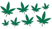 naklejki-marihuana-konopia-cannabis-ganja-8-sztuk-zielone.jpg