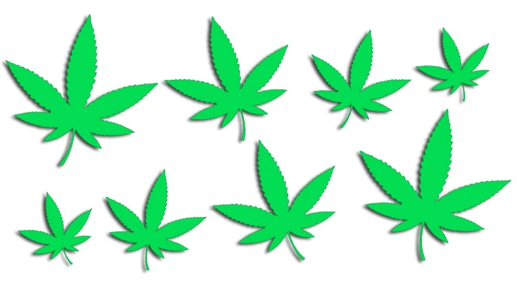 naklejki-marihuana-konopia-cannabis-ganja-8-sztuk-zielone-neon.jpg