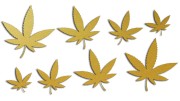 naklejki-marihuana-konopia-cannabis-ganja-8-sztuk-zlote.jpg