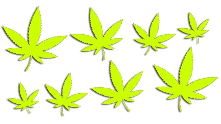 naklejki-marihuana-konopia-cannabis-ganja-8-sztuk-zolte-neon.jpg