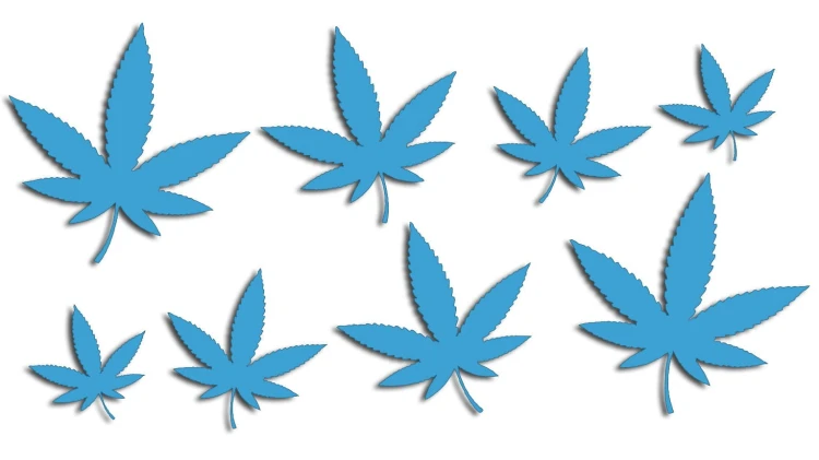 naklejki-marihuana-konopia-cannabis-ganja-8-sztuk-blekitne.jpg