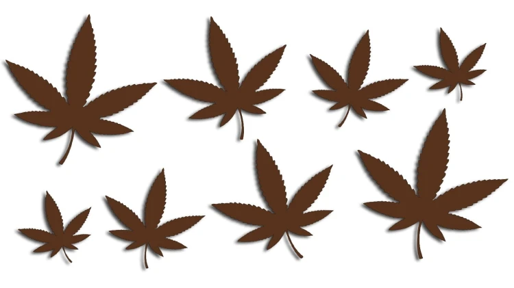 naklejki-marihuana-konopia-cannabis-ganja-8-sztuk-ciemny-brazowy.jpg