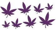 naklejki-marihuana-konopia-cannabis-ganja-8-sztuk-fioletowe.jpg