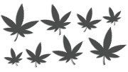 naklejki-marihuana-konopia-cannabis-ganja-8-sztuk-grafitowe.jpg