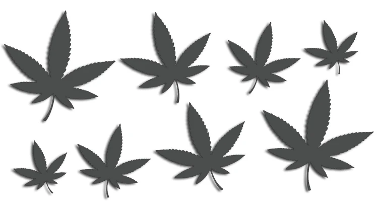 naklejki-marihuana-konopia-cannabis-ganja-8-sztuk-grafitowe.jpg
