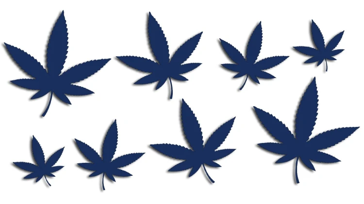 naklejki-marihuana-konopia-cannabis-ganja-8-sztuk-granatowe.jpg
