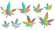 naklejki-marihuana-konopia-cannabis-ganja-8-sztuk-holograficzne.jpg