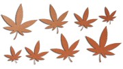 naklejki-marihuana-konopia-cannabis-ganja-8-sztuk-miedziane.jpg