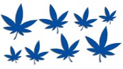naklejki-marihuana-konopia-cannabis-ganja-8-sztuk-niebieskie.jpg