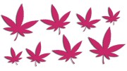 naklejki-marihuana-konopia-cannabis-ganja-8-sztuk-rozowe.jpg