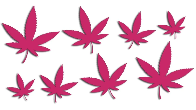 naklejki-marihuana-konopia-cannabis-ganja-8-sztuk-rozowe.jpg