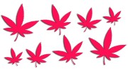 naklejki-marihuana-konopia-cannabis-ganja-8-sztuk-rozowe-neon.jpg