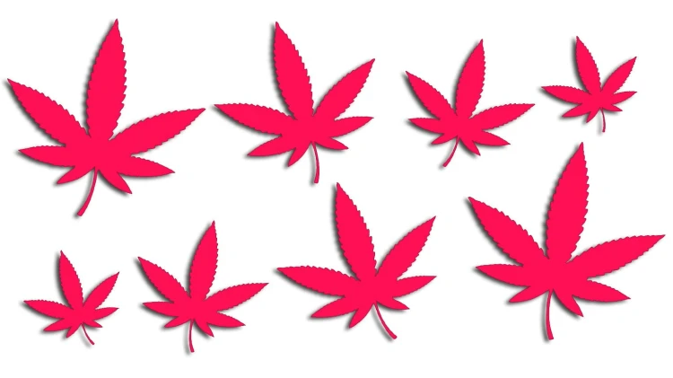 naklejki-marihuana-konopia-cannabis-ganja-8-sztuk-rozowe-neon.jpg