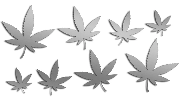 naklejki-marihuana-konopia-cannabis-ganja-8-sztuk-srebrne.jpg