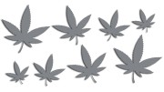 naklejki-marihuana-konopia-cannabis-ganja-8-sztuk-szare.jpg