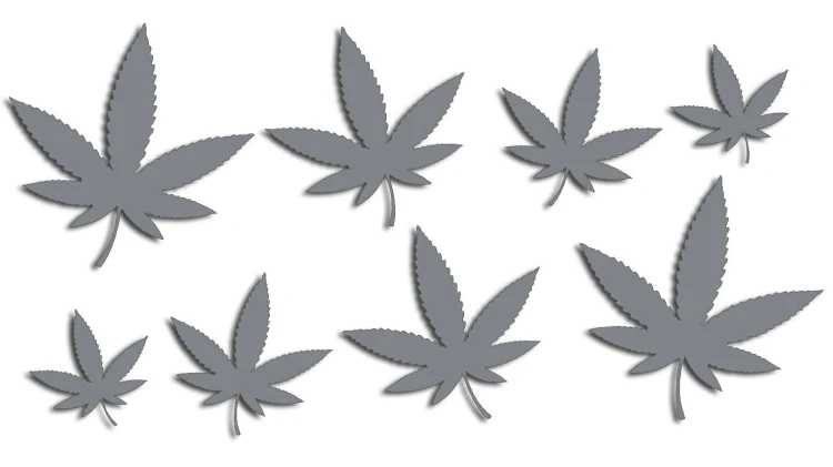 naklejki-marihuana-konopia-cannabis-ganja-8-sztuk-szare.jpg