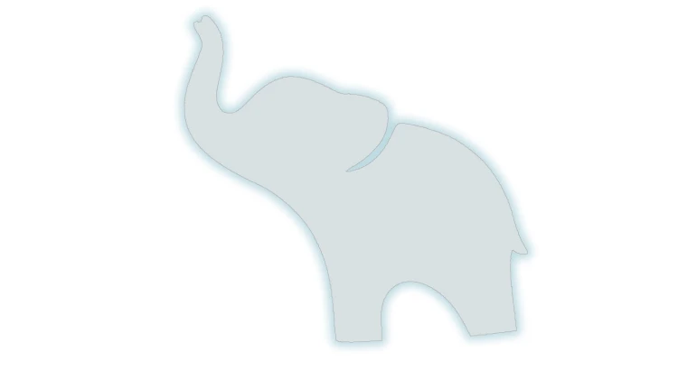 naklejka-slon-na-szczescie-bialy-odblask.jpg