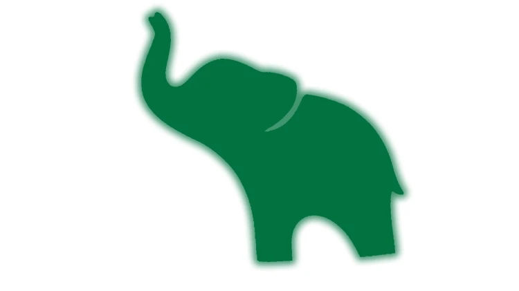 naklejka-slon-na-szczescie-zielony-odblask.jpg