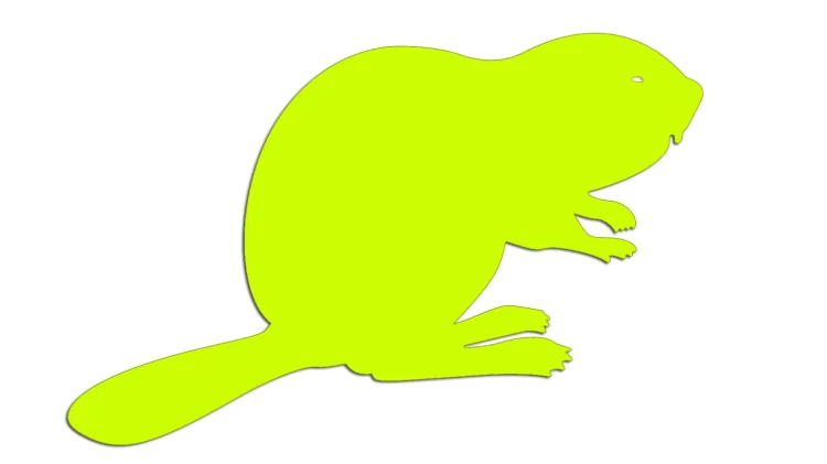 naklejka-bobr-zolta-neon.jpg