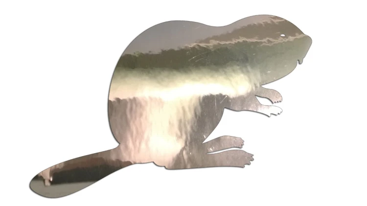 naklejka-bobr-chrom.jpg
