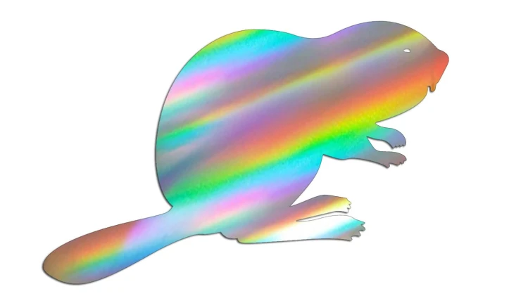 naklejka-bobr-holograficzna.jpg