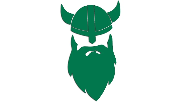 naklejka-viking-glowa-zielona.jpg