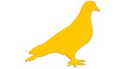 naklejka-golab-ptak-zolta.jpg