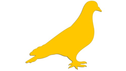 naklejka-golab-ptak-zolta.jpg
