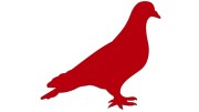 naklejka-golab-ptak-czerwona.jpg