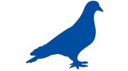 naklejka-golab-ptak-niebieska.jpg
