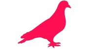 naklejka-golab-ptak-rozowa-neon.jpg