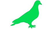naklejka-golab-ptak-zielona-neon.jpg