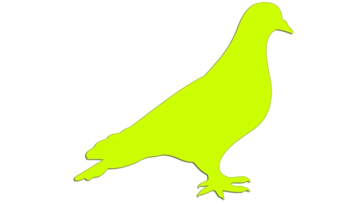 naklejka-golab-ptak-zolta-neon.jpg