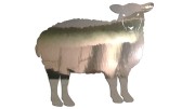 naklejka-owca-chrom.jpg