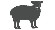 naklejka-owca-grafitowa.jpg