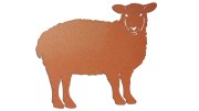 naklejka-owca-miedziana.jpg