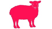 naklejka-owca-rozowa-neon.jpg