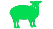 naklejka-owca-zielona-neon.jpg