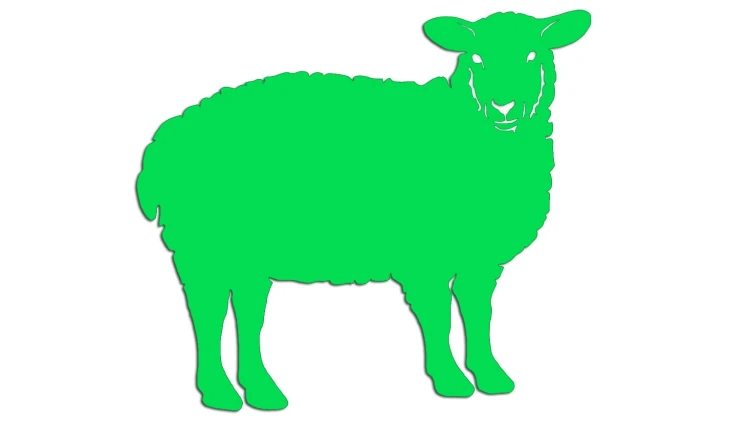 naklejka-owca-zielona-neon.jpg